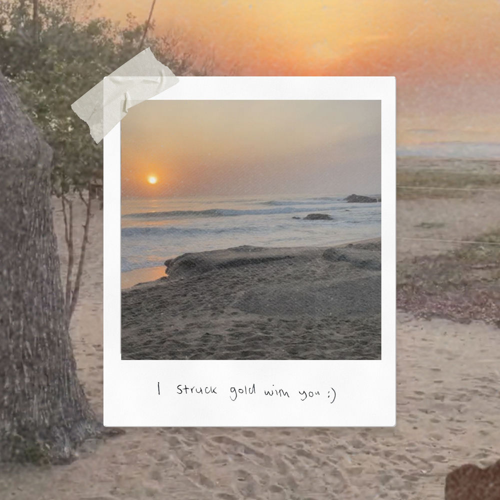 I Struck Gold With You artwork