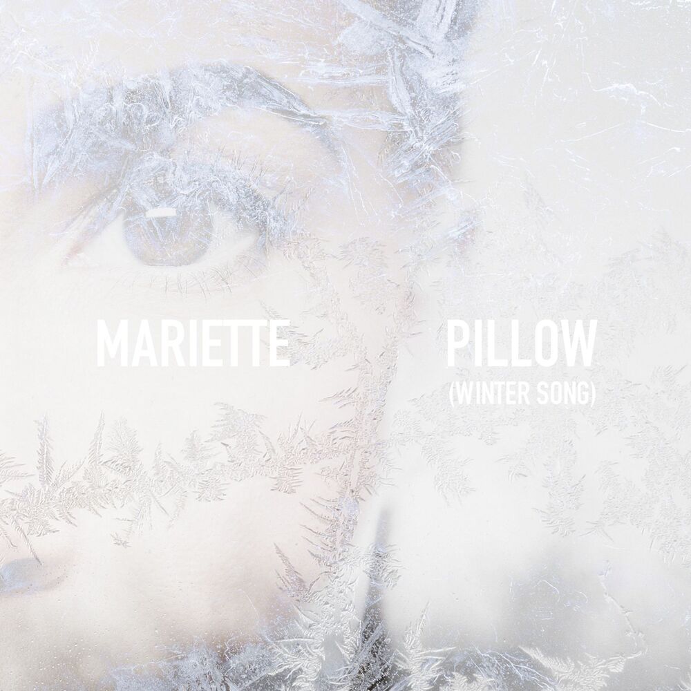 Picture of Pillow (Winter Song)