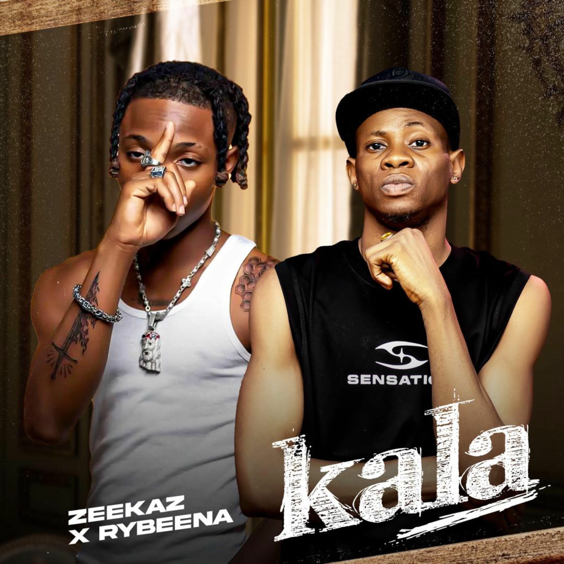 Album cover of Kala
