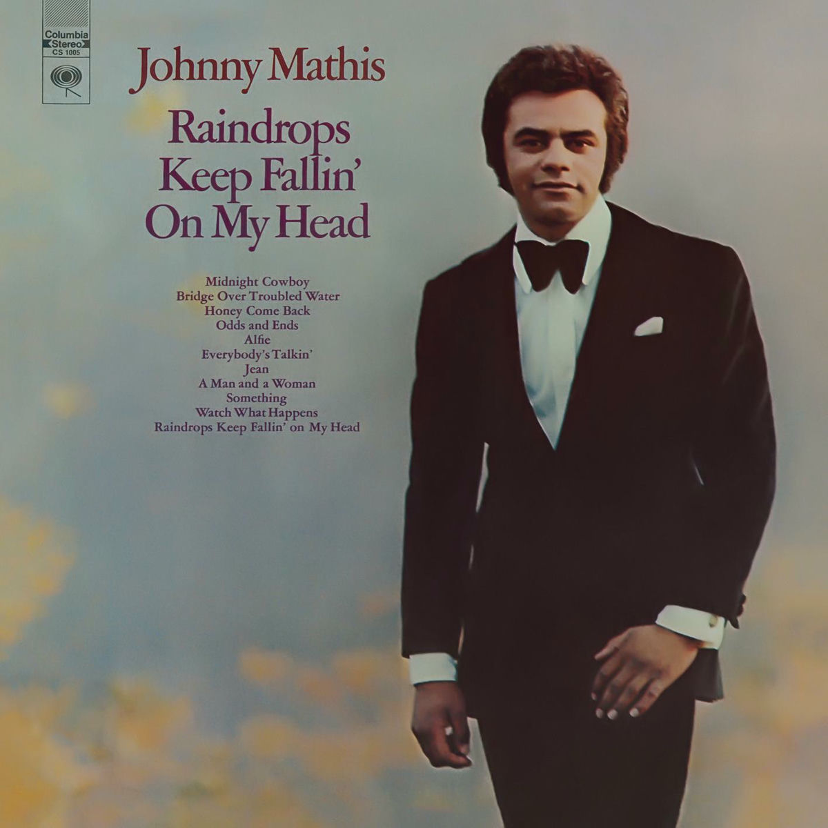 Album cover of Raindrops Keep Fallin' On my Head'