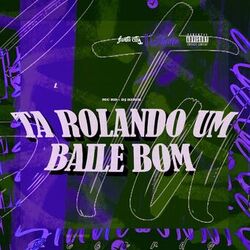 Cover of Ta Rolando um Baile Bom