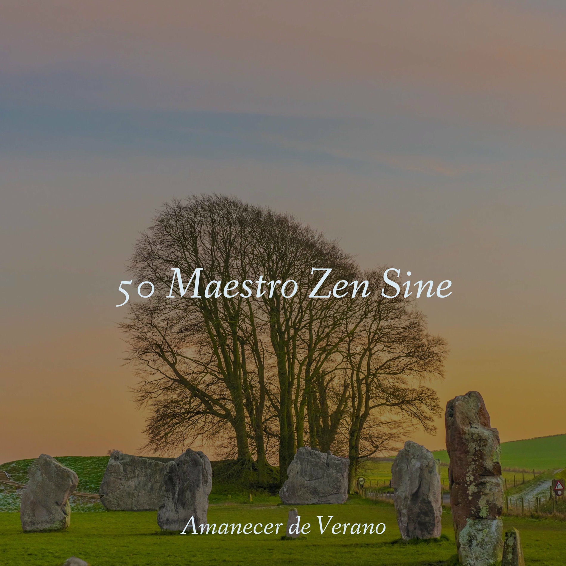 Album cover of 50 Maestro Zen Sine
