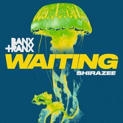 Cover of Waiting