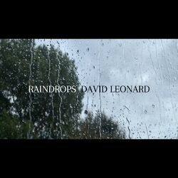 Cover of Raindrops