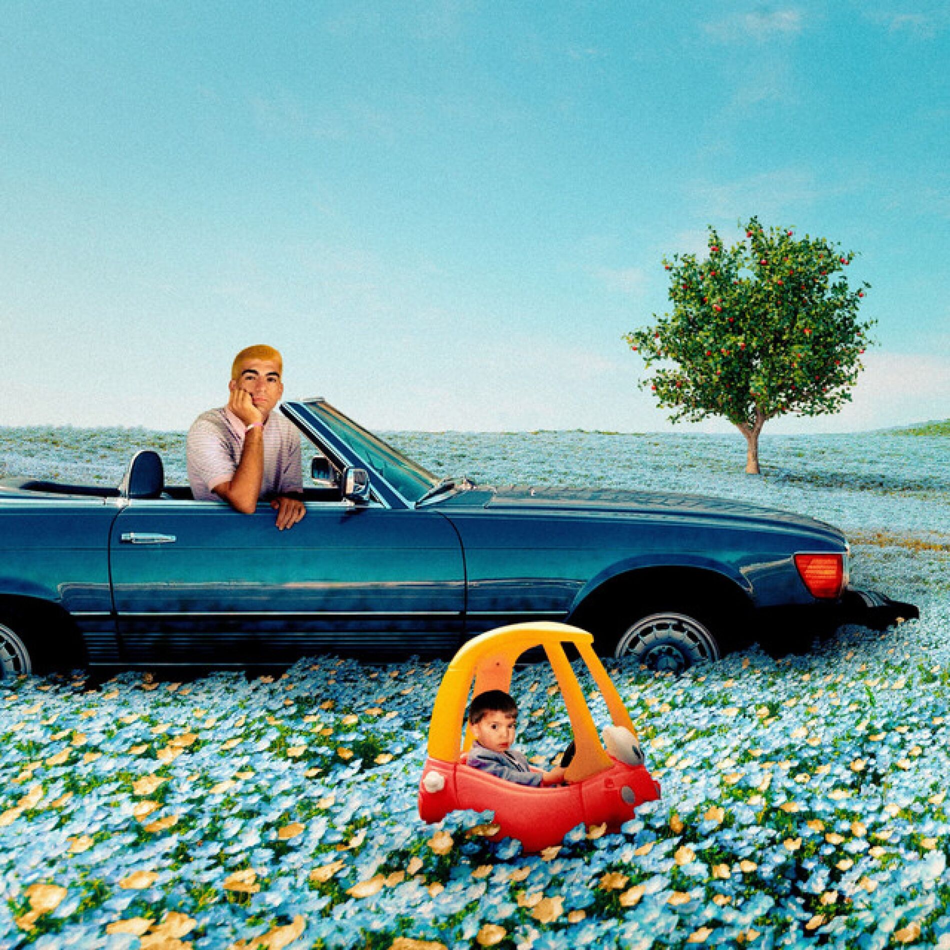 Album cover of cherimoya LUV