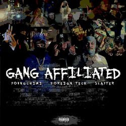 Cover of Gang Affiliated