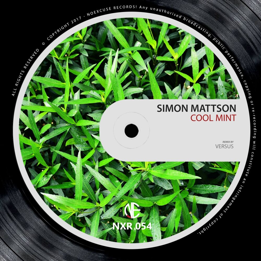 Picture of Cool Mint