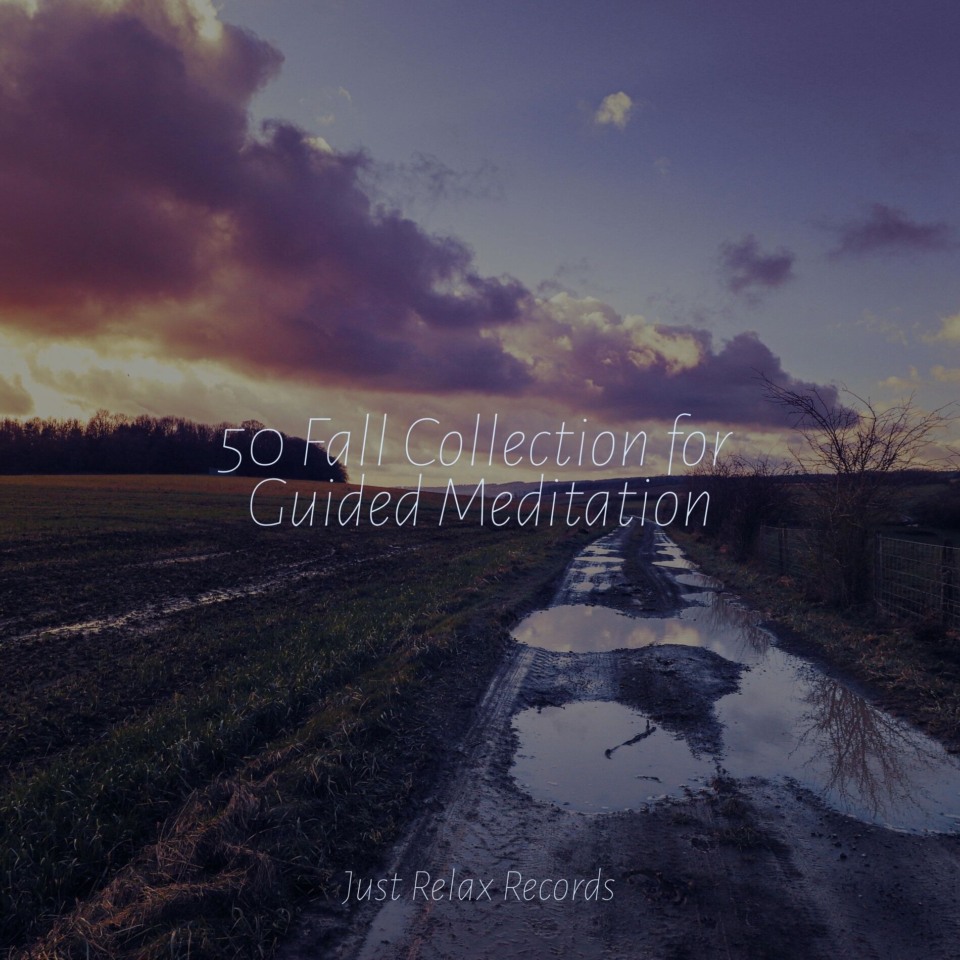 Album cover of 50 Fall Collection for Guided Meditation