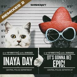 Cover of (it's gonna be) Epic! (Remixes Two)