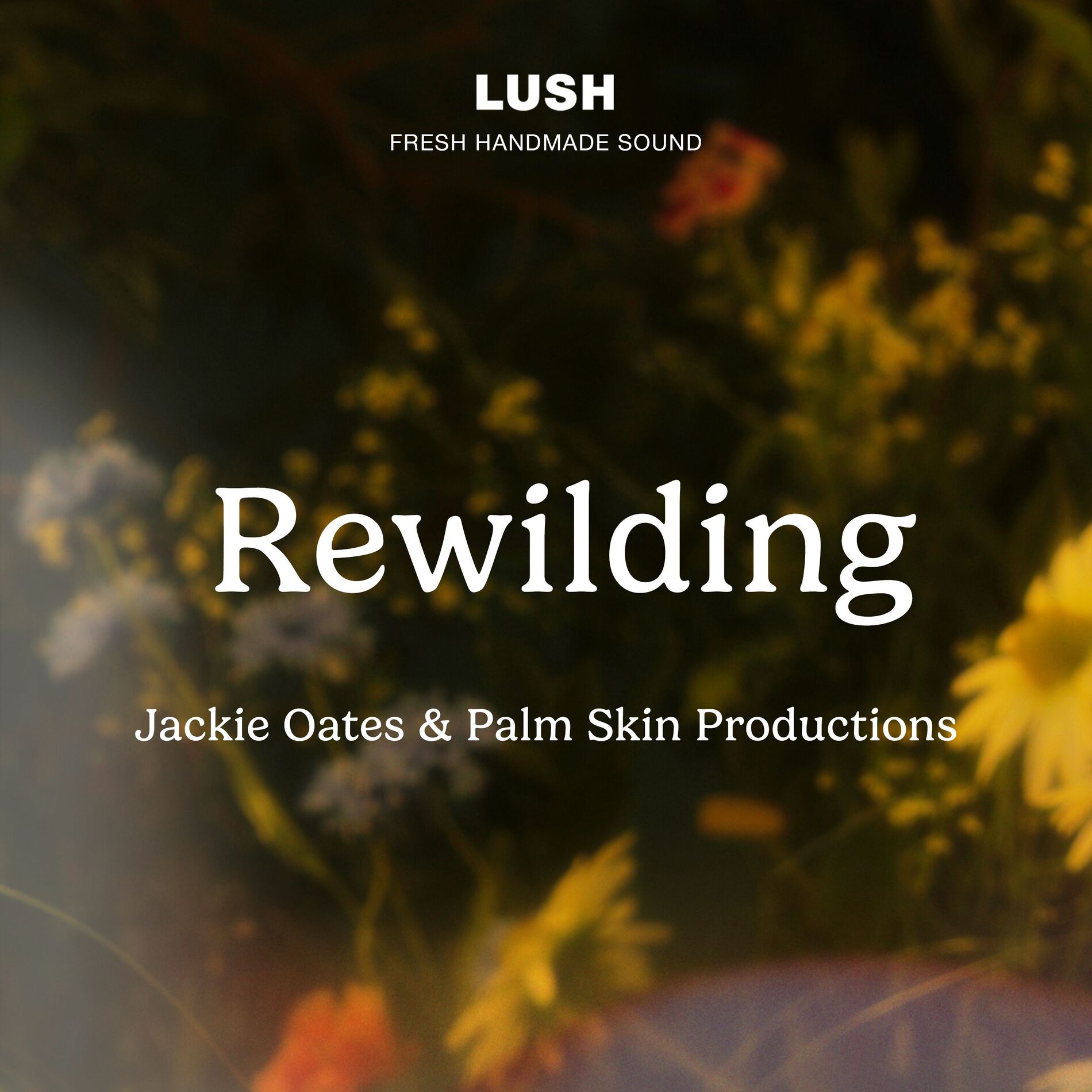 Album cover of Rewilding