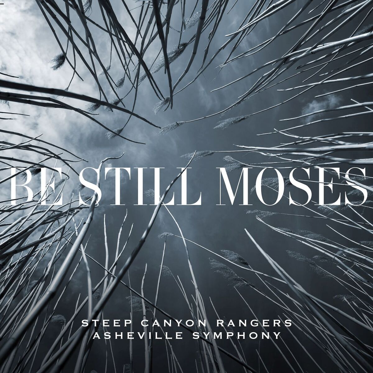 Album cover of The Mountain's Gonna Sing