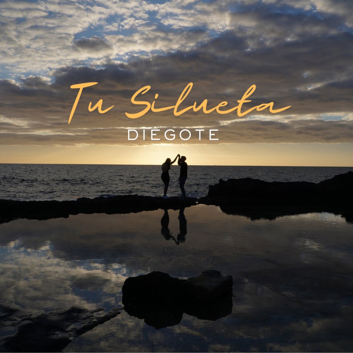 Album cover of Tu Silueta
