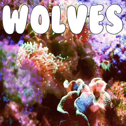 Wolves (Tribute to Selena Gomes and Marshmello)