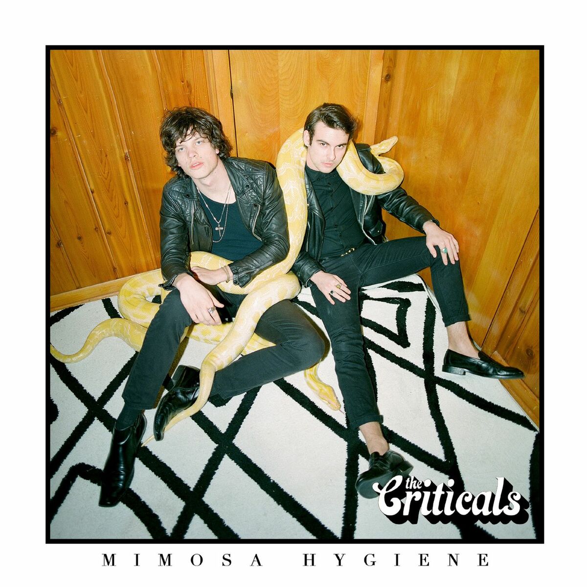 Album cover of Mimosa Hygiene