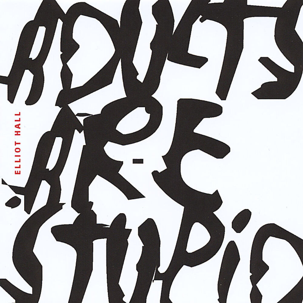 Picture of Adults Are Stupid