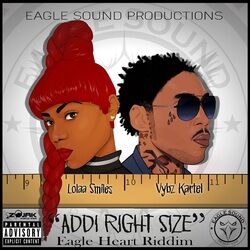 Cover of Addi Right Size