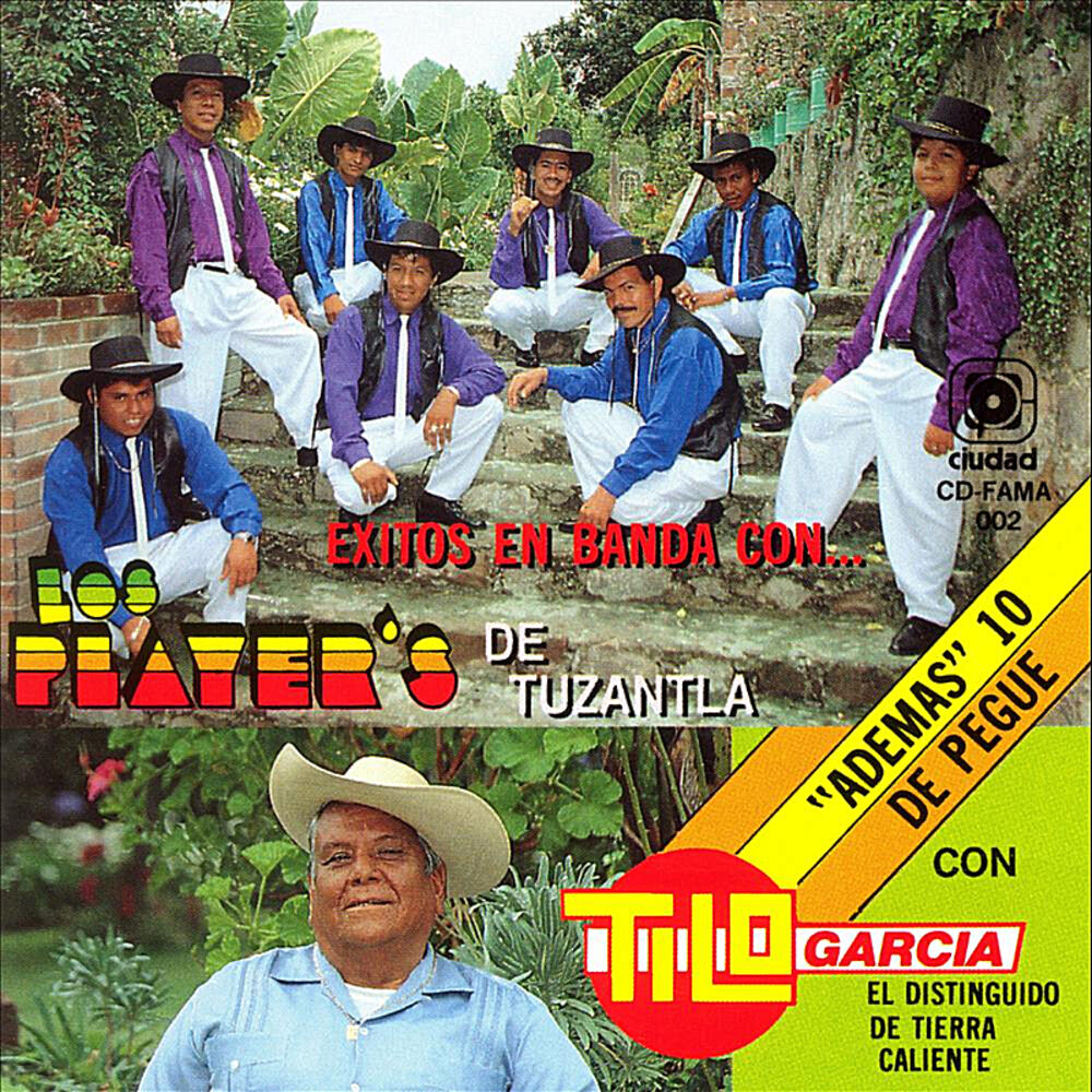 Picture of Exitos en Banda Con...