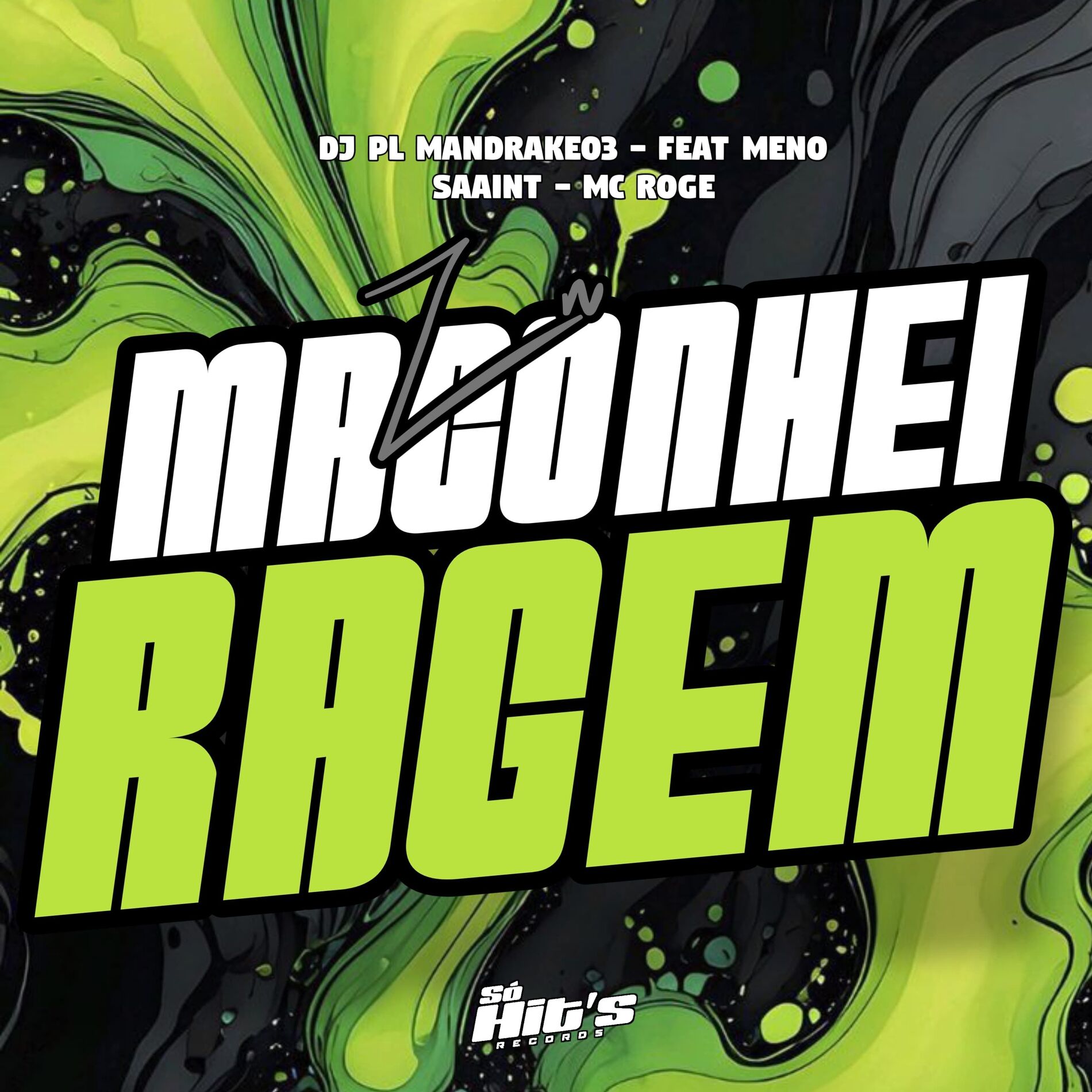 Album cover of ZN Maconheiragem