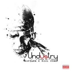 Cover of Undustry