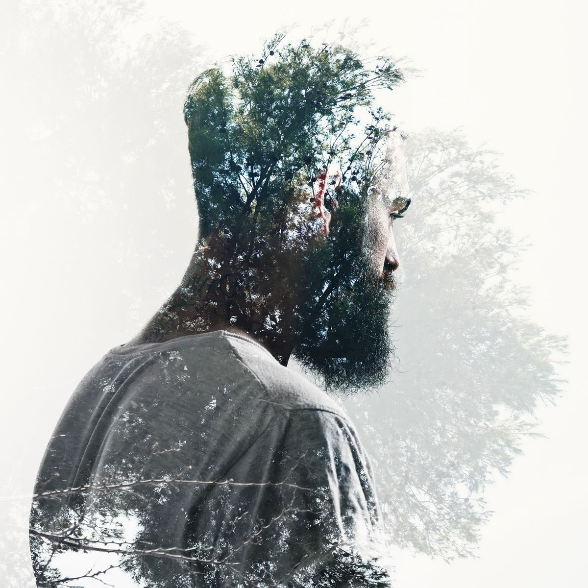 Album cover of If You