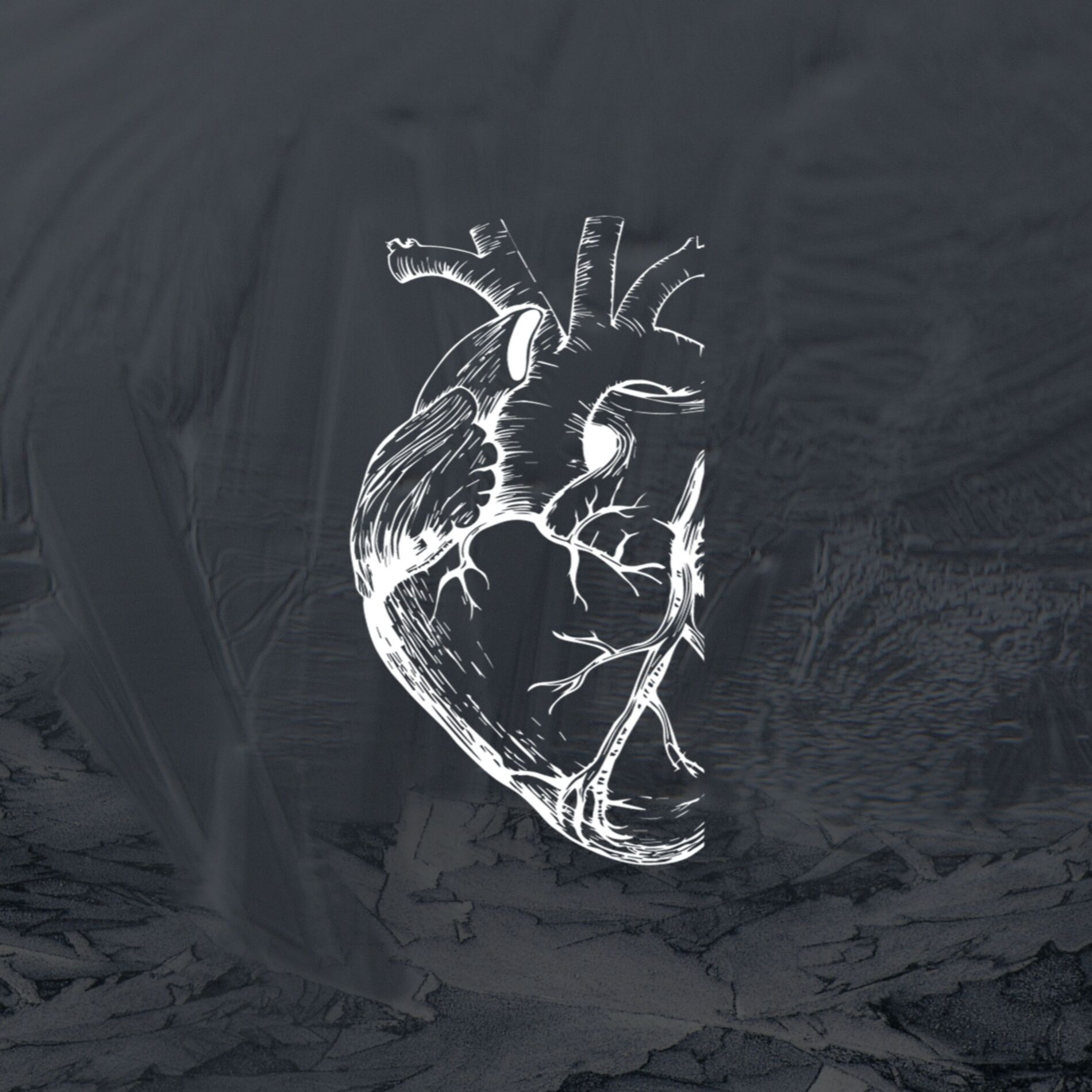 Album cover of Jäätund süda (Demo)