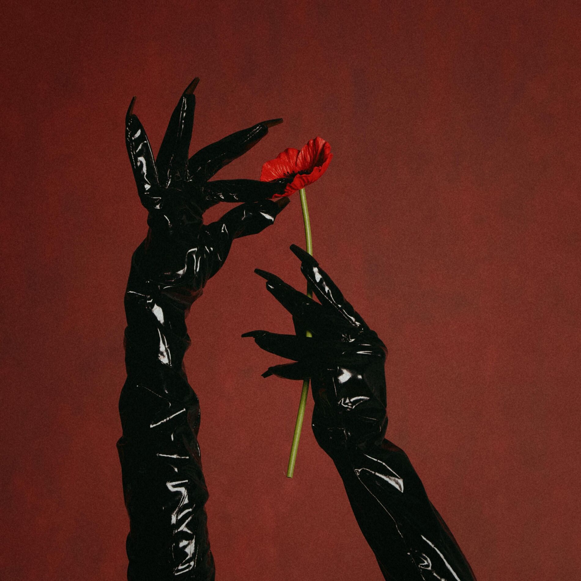 Album cover of Amina