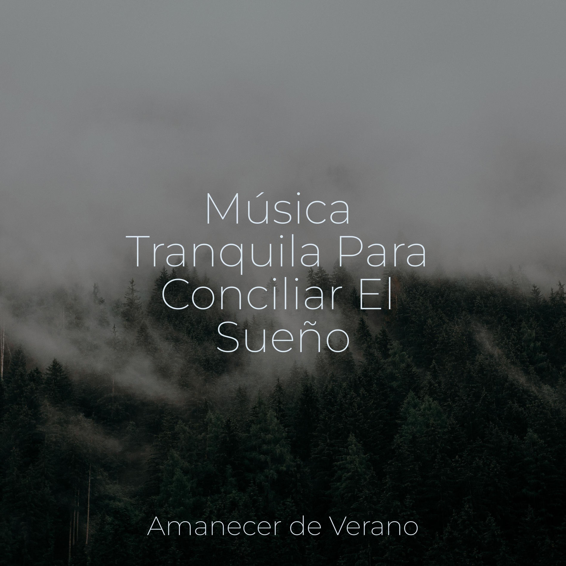 Album cover of Música Tranquila Para Conciliar El Sueño