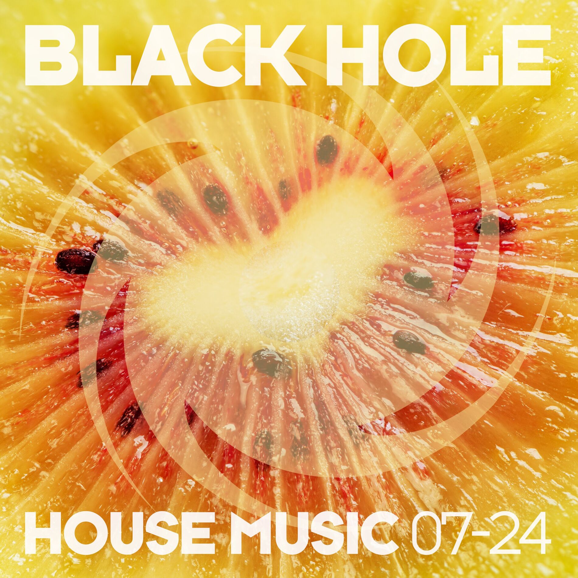 Album cover of Black Hole House Music 07-24
