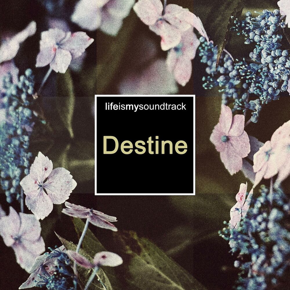 Picture of Destine