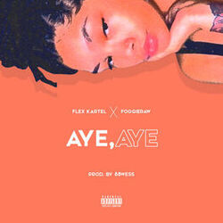 Cover of Aye, Aye