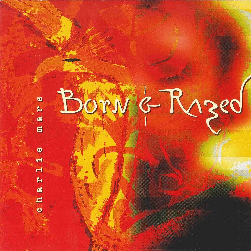 Picture of Born and Razed