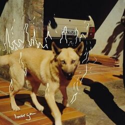 Cover of amarga