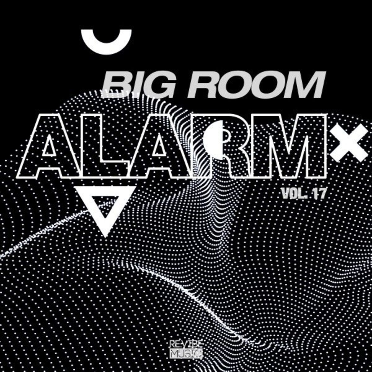 Album cover of Big Room Alarm, Vol. 17