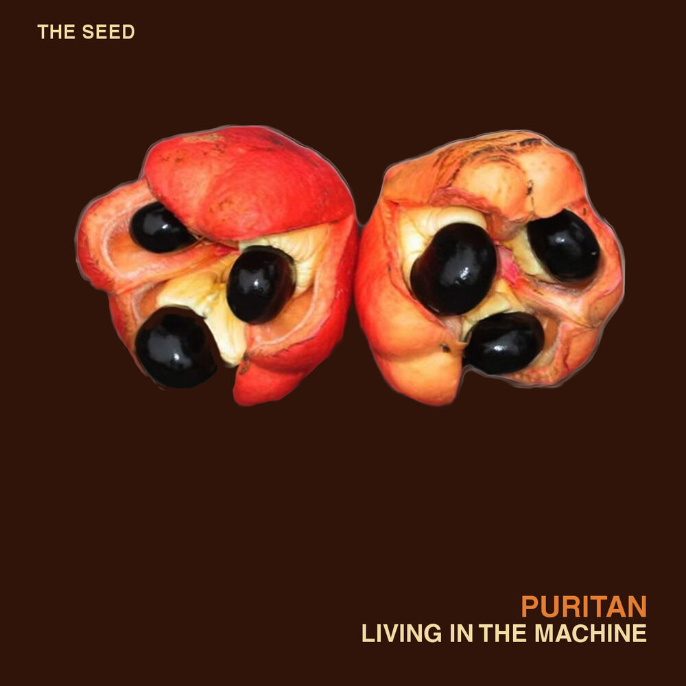 Picture of Living in the Machine