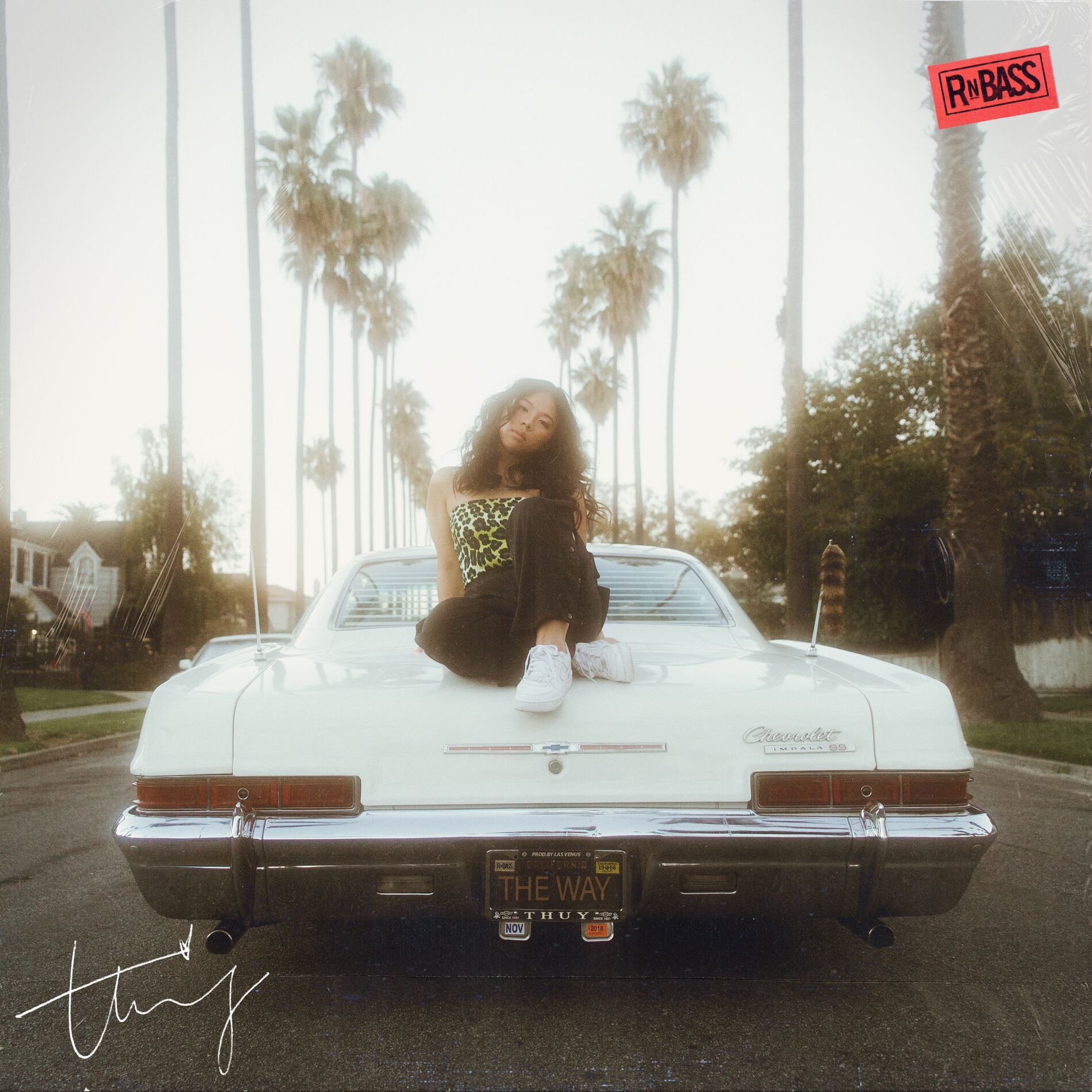 Album cover of The Way