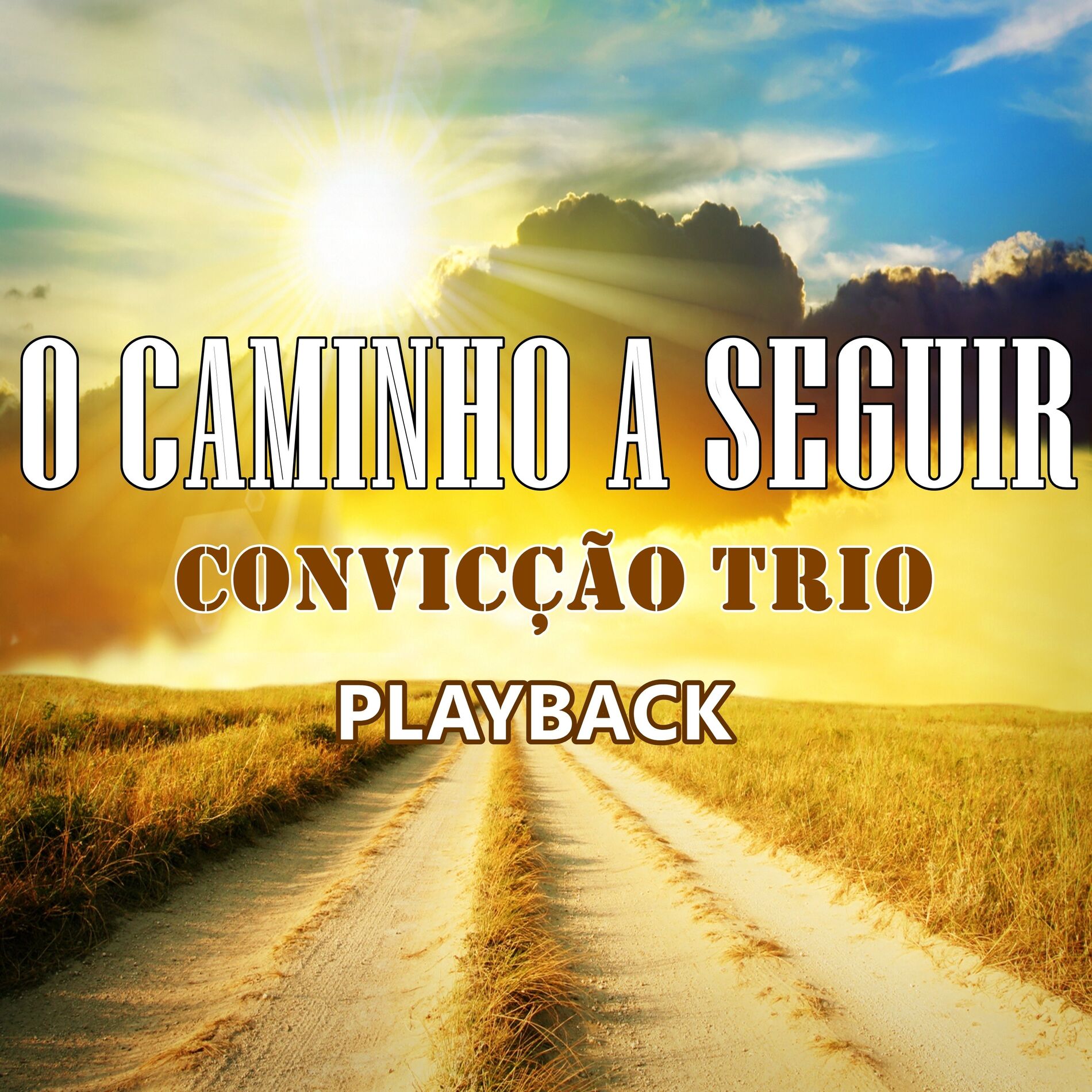 Album cover of O Caminho a Seguir (Playback)