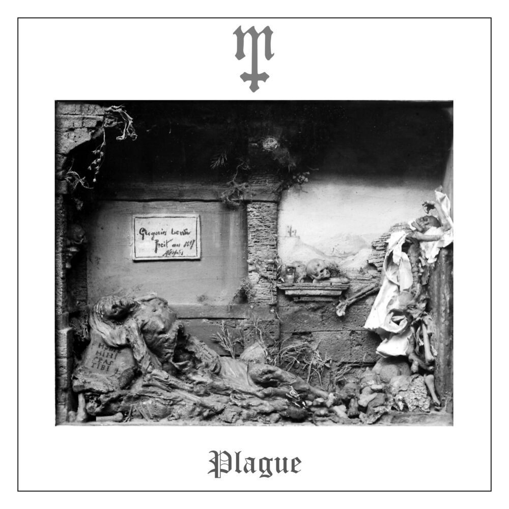 Picture of Plague