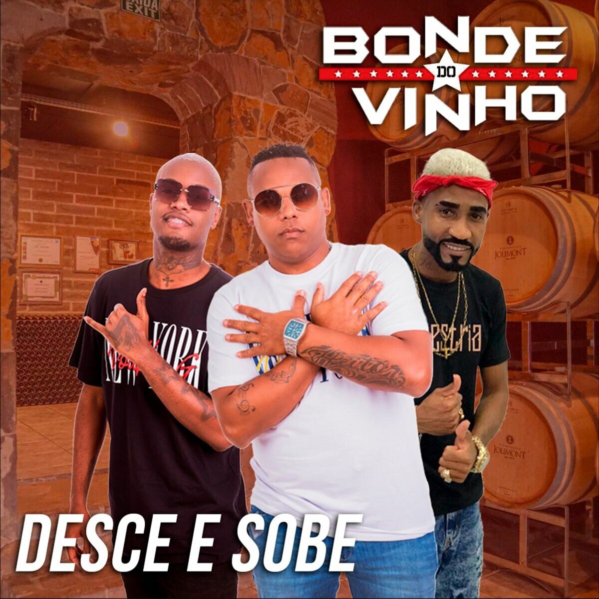 Album cover of DESCE E SOBE