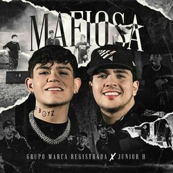 Cover of Mafiosa