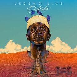 Cover of Legend Live (LIve)