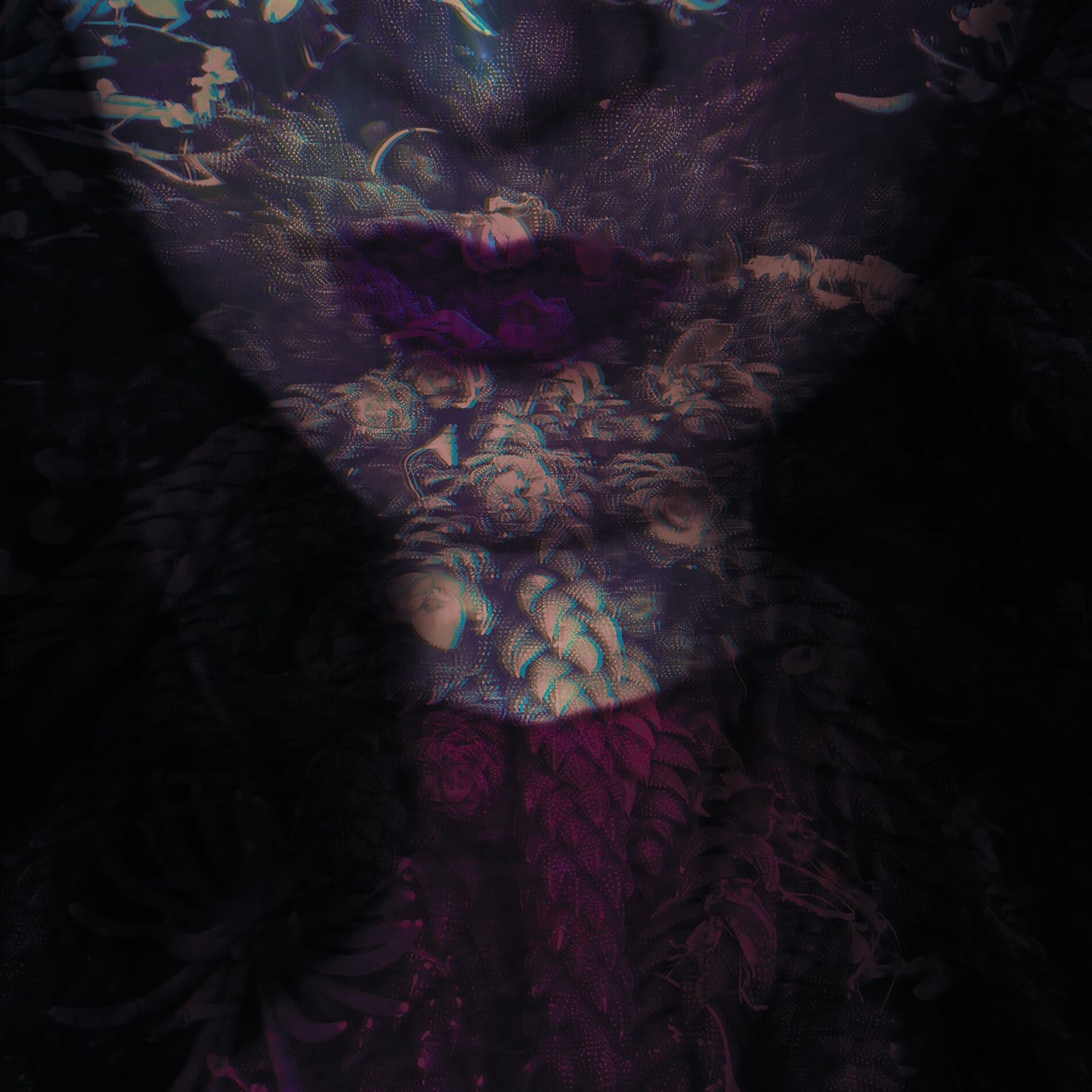 Album cover of Wild Animal