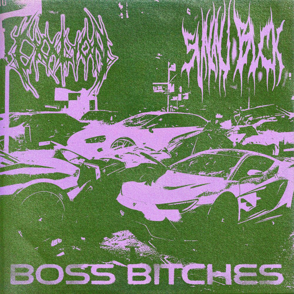 Picture of Boss Bitches