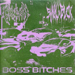 Cover of Boss Bitches