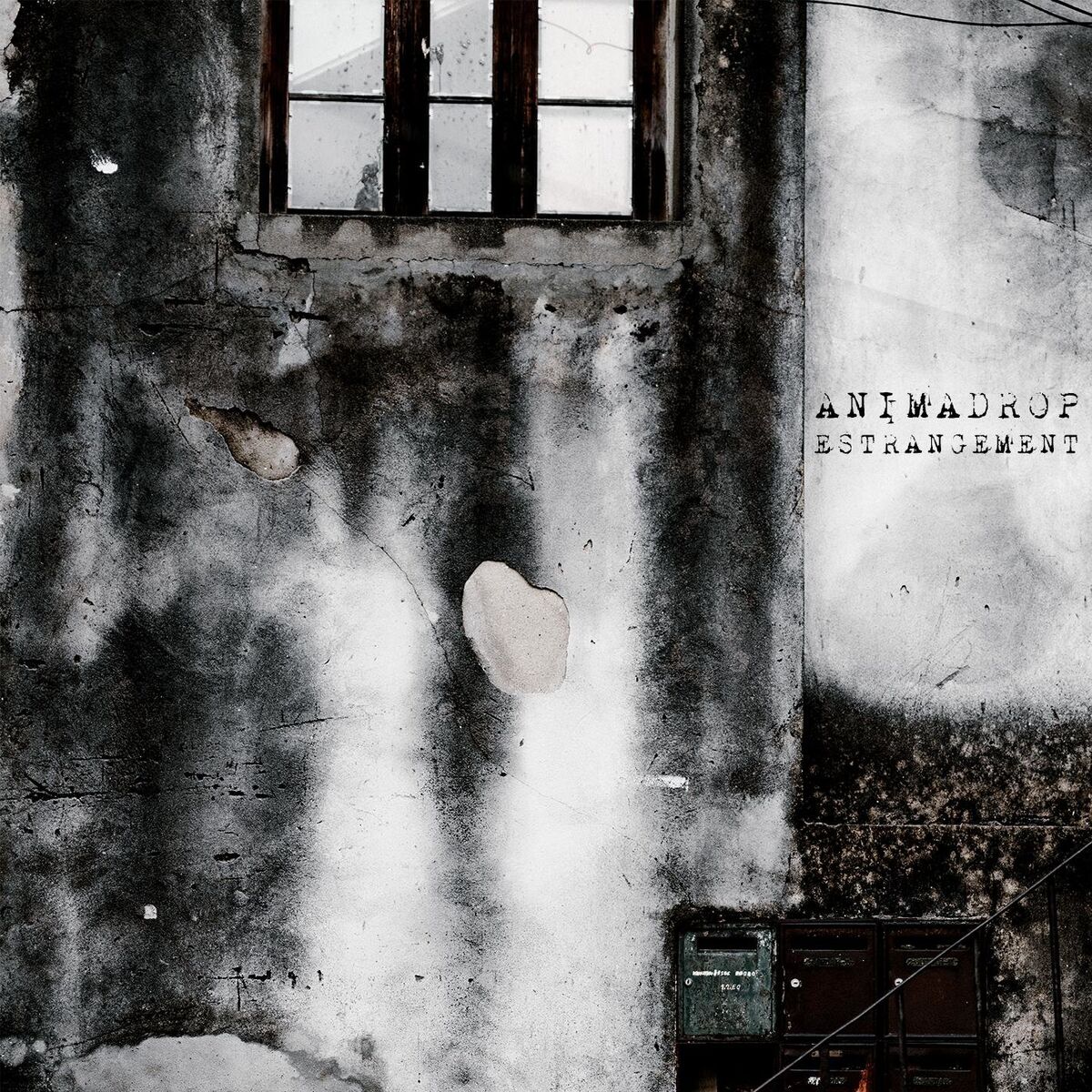 Album cover of Estrangement