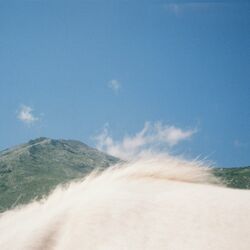 Cover of Pony Sky