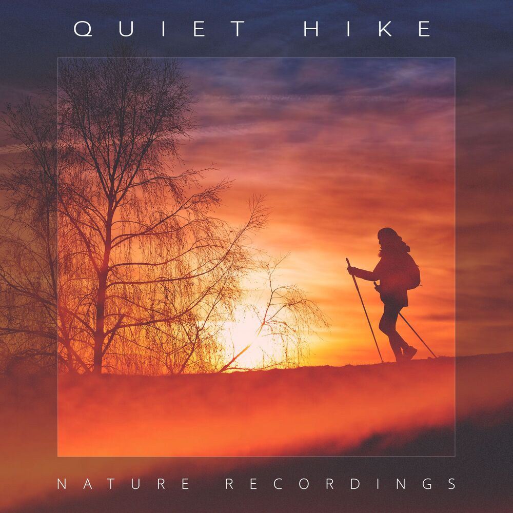 Picture of Quiet Hike