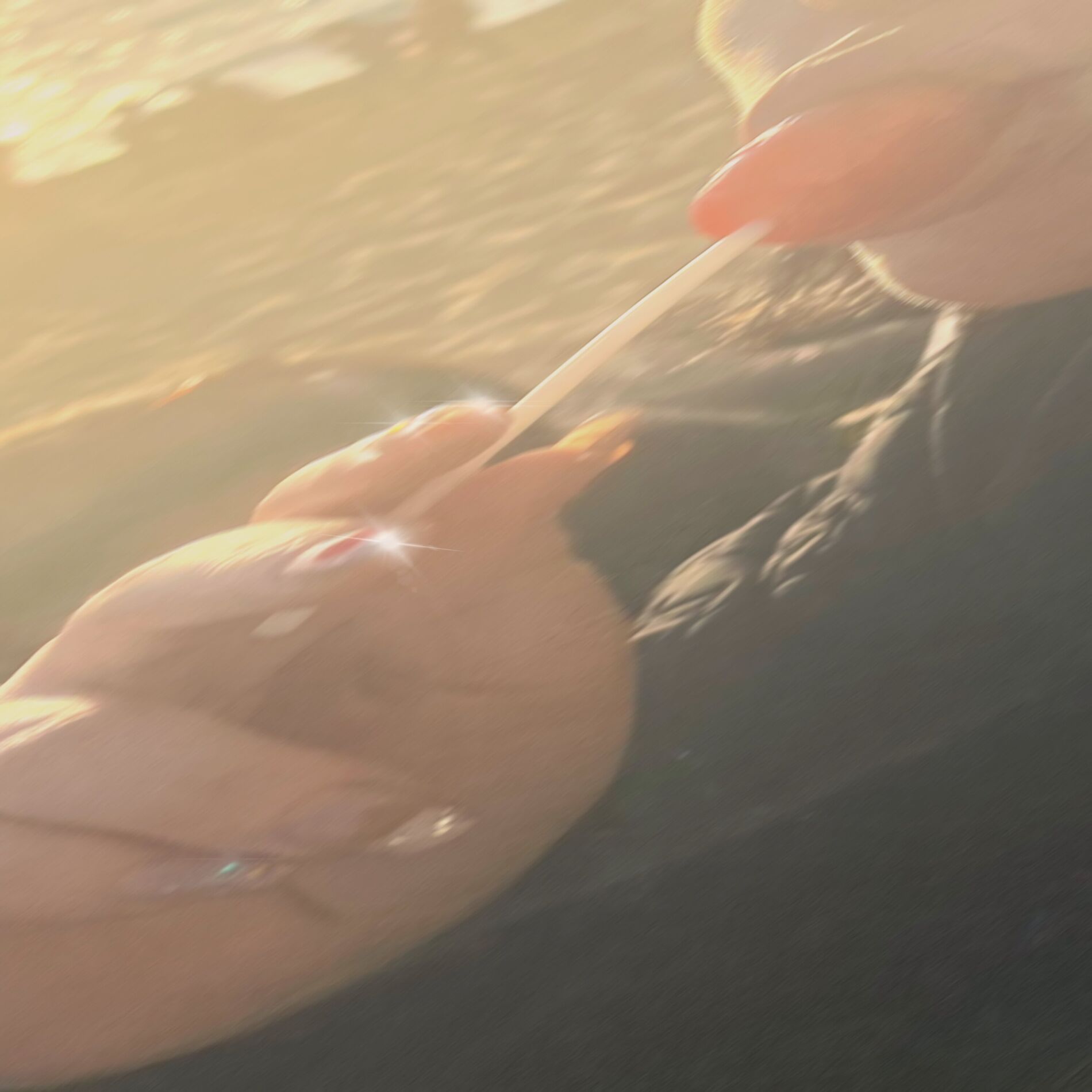 Album cover of Escala