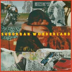 Cover of suburban wonderland