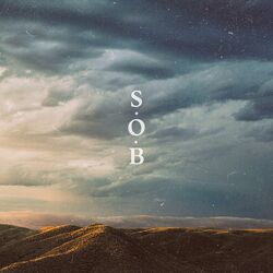Cover of S.O.B.