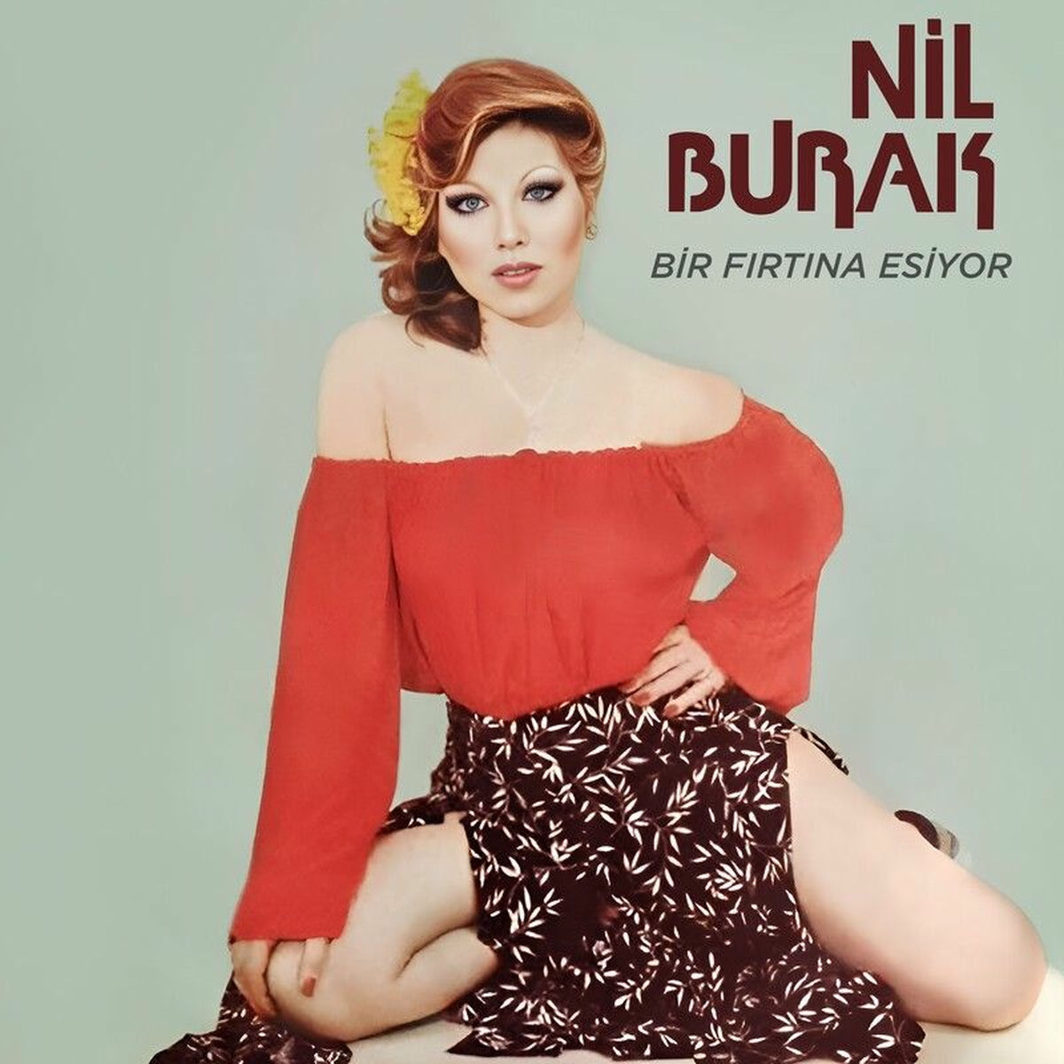 Album cover of Bir Fırtına Esiyor